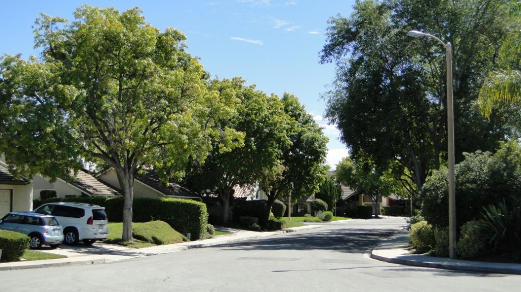 Village Homes Westlake Village, CA (600s900s)