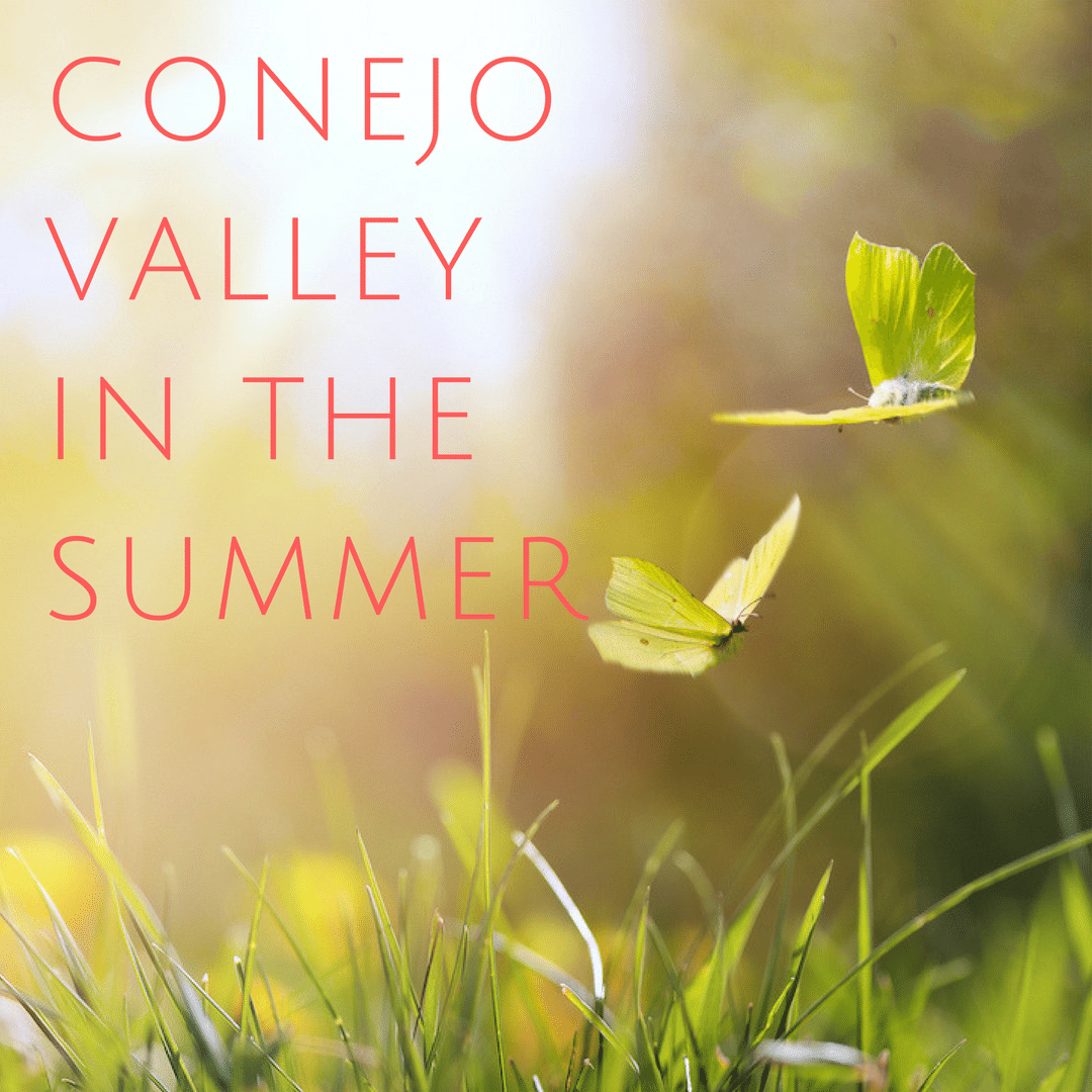 Conejo Valley Weather | Summer Edition | Conejo Valley Guy