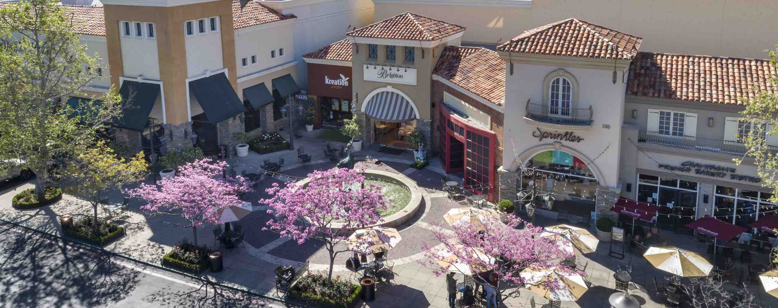 Michael Rice Your Conejo Valley & Westlake Village Real Estate Agent