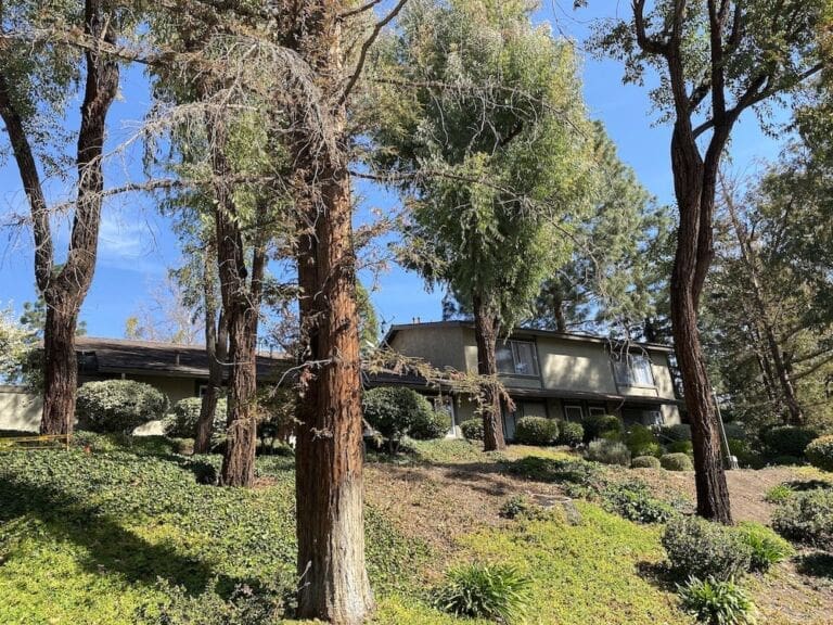 Wildwood Condos Thousand Oaks, CA (450k625k)